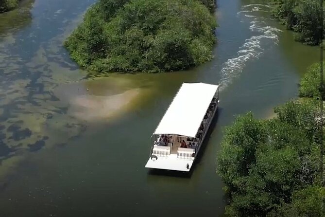 Golf Lesson and Eco Tour in Marapendi Lagoon Rio de Janeiro - Pantanal Carioca Private Tour With a Biologist: What You’ll Look For