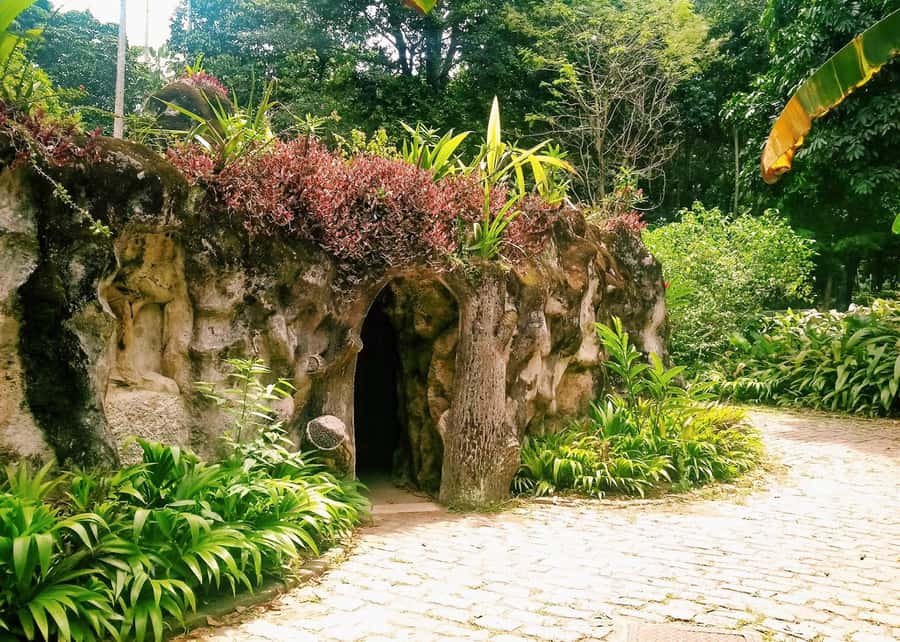 Green Rio: Guided Tour of Botanical Garden and Lage Park - Two parks under Corcovado, one well-paced green break