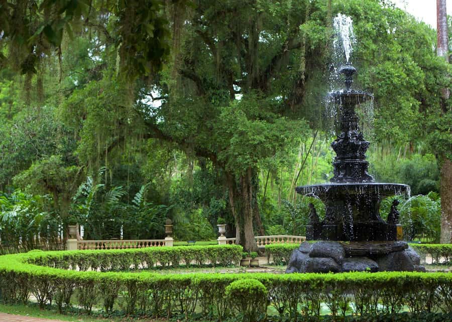 Green Rio: Guided Tour of Botanical Garden and Lage Park - The Japanese Garden and plant conservation, explained in plain terms