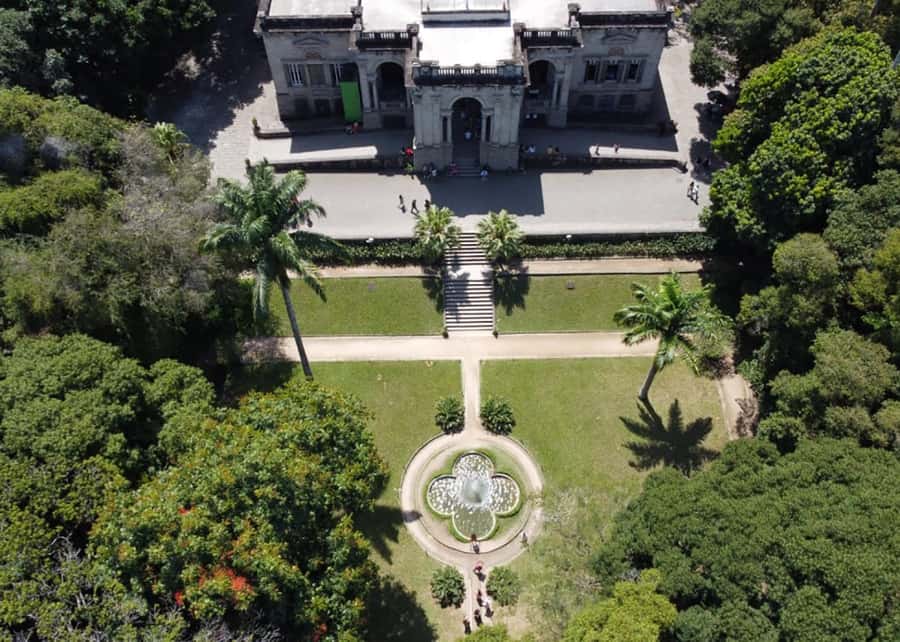 Green Rio: Guided Tour of Botanical Garden and Lage Park - Weather, renovations, and why your route might shift