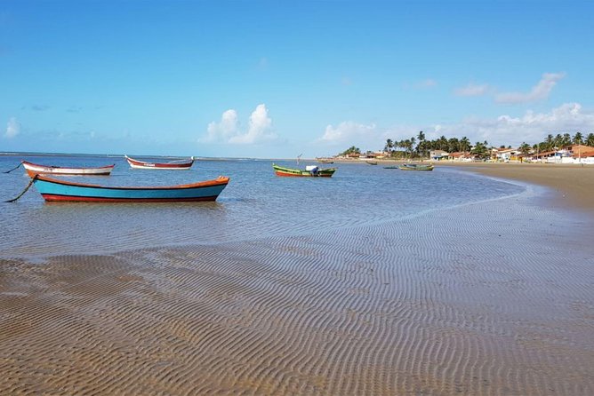 Grumari, Prainha & Pontal Beach Day Tour in Rio de Janeiro with Transfer - Price and Value: Is $89 a Smart Use of Half a Day?