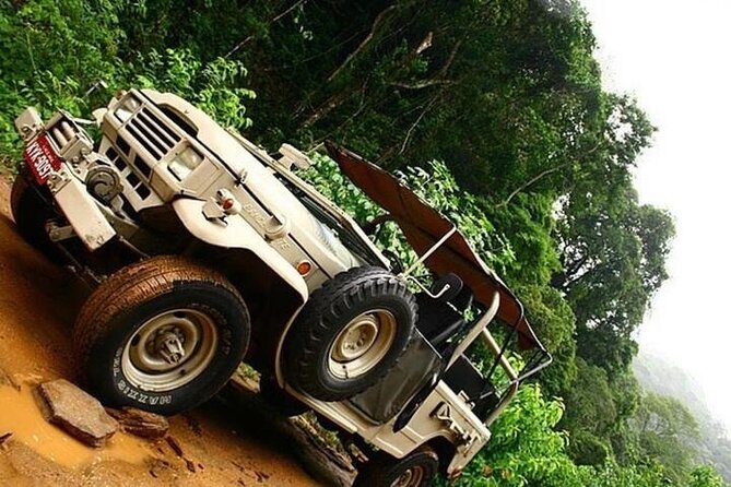 Half-Day Jeep Tour in Rio's Tijuca Rainforest and Scenic - Price and what $130 buys you