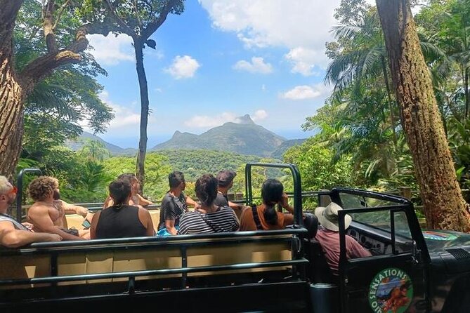 Half-Day Jeep Tour in Rio's Tijuca Rainforest and Scenic - Stop 1 in Floresta da Tijuca: wildlife, waterfalls, and quick trail moments