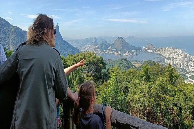 Half-Day Jeep Tour in Rio's Tijuca Rainforest and Scenic - The guide makes or breaks a rainforest day