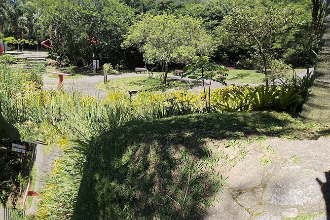 Half day walking tour in Leblon - Meeting at Janeiro Hotel, then getting organized fast