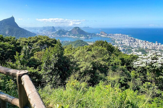 Hiking in the Tijuca Forest : Waterfalls and Caves - Bat Cave and forest cascades: the fun detour that adds variety
