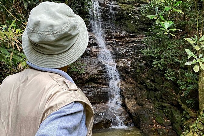 Hiking in the Tijuca Forest : Waterfalls and Caves - Floresta da Tijuca hike: light-to-moderate trails with real forest texture