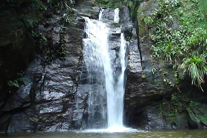 Horto Waterfalls Circuit Adventure Tour in Tijuca National Park - Key Points to Know Before You Go