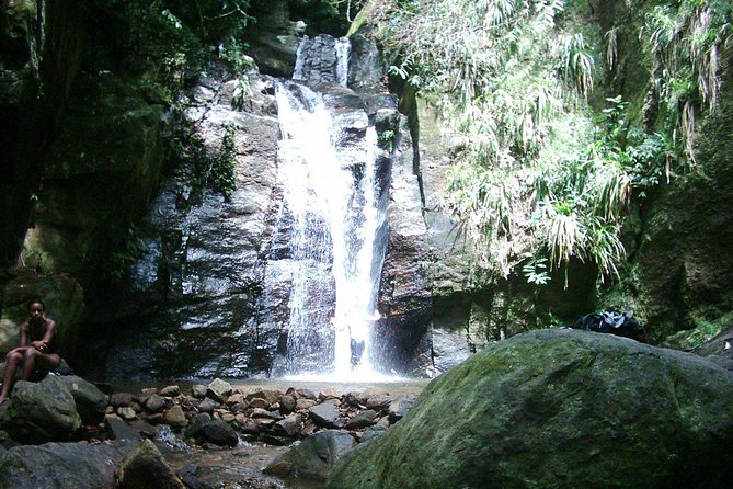 Horto Waterfalls Circuit Adventure Tour in Tijuca National Park - Why This Hike Feels Like a Rio Reset
