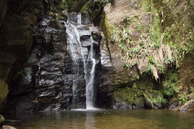 Horto Waterfalls Circuit Adventure Tour in Tijuca National Park - The Trail Story: Jequitibá to Box (Shower) Waterfall