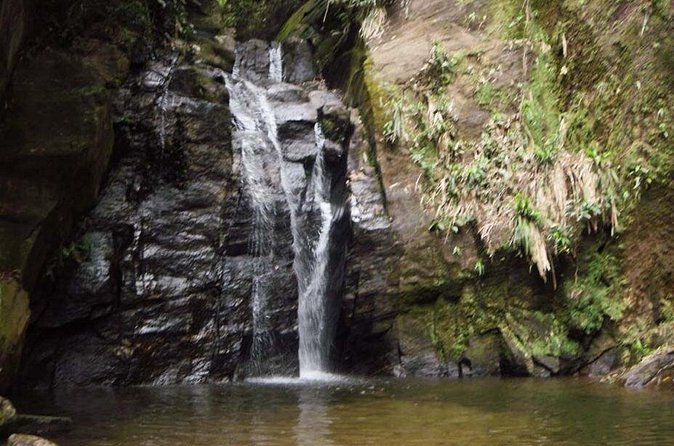 Horto Waterfalls Circuit Adventure Tour in Tijuca National Park - Private vs Regular, and Where the $65.35 Value Really Comes From