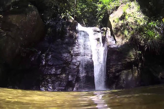Horto Waterfalls Circuit Adventure Tour in Tijuca National Park - What to Pack, What to Do With Your Energy, and When to Go