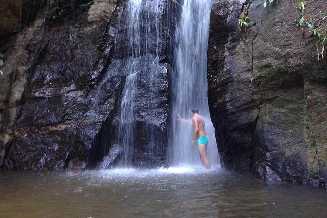 Horto Waterfalls Circuit Adventure Tour in Tijuca National Park - Meeting Point, Timing, and How the 4 Hours Usually Flies