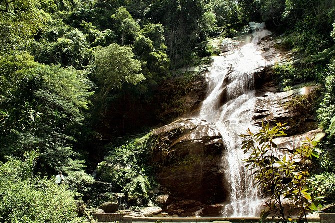 Jeep Adventure: Guided Tour through Tijuca Rain Forest - First Steps From Your Hotel: Open-Top Jeep and the Mata Atlântica Lesson