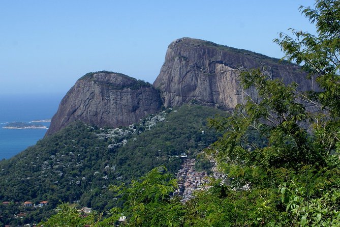 Jeep Adventure: Guided Tour through Tijuca Rain Forest - Price and Value: What $88.21 Really Buys You