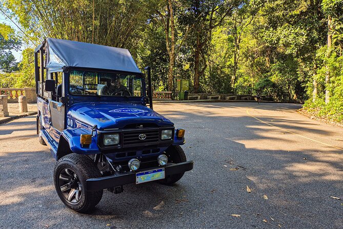 Jeep'n'Culture: Rocinha Favela and Tijuca Rainforest Tour - Tijuca Forest Without the Guesswork: Visitor Center and Easy Walk