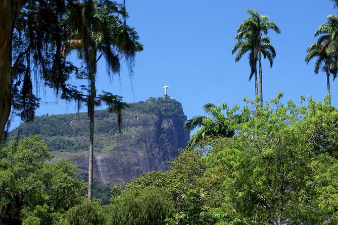 Jeep'n'Green: Rio Botanical Garden and Tijuca Rainforest Tour - Open Jeep to Tijuca: why the ride matters as much as the rainforest