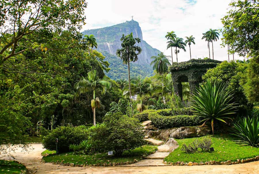 Jeep'n'Green: Rio Botanical Garden & Tijuca Rainforest Tour - A 4-hour format that actually works in Rio