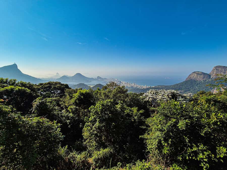 Jeep'n'Green: Rio Botanical Garden & Tijuca Rainforest Tour - Vista Chinesa: the pagoda viewpoint, and when it will not run