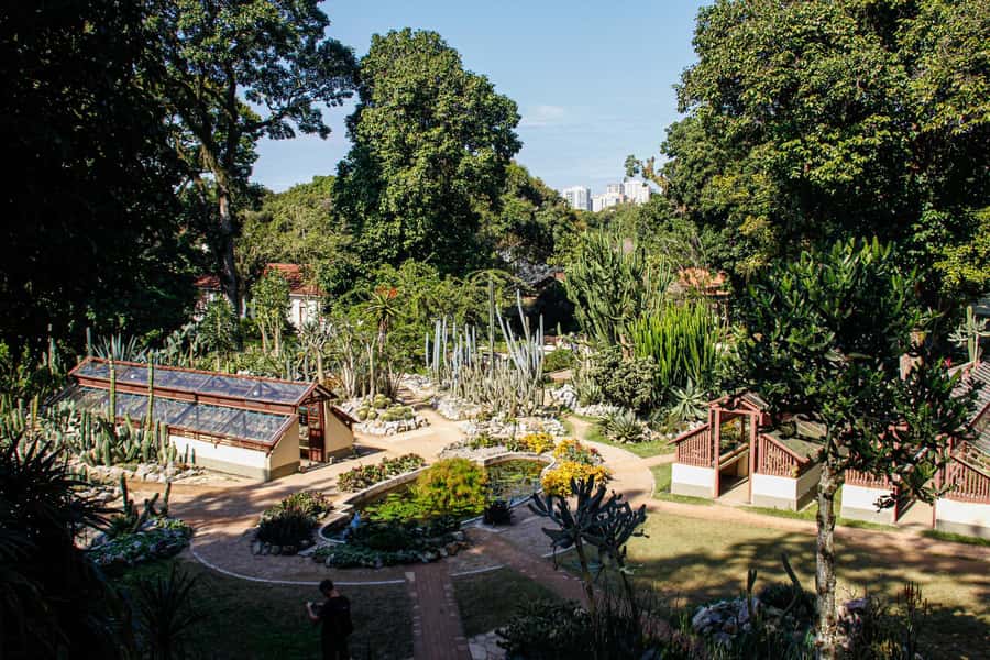 Jeep'n'Green: Rio Botanical Garden & Tijuca Rainforest Tour - The eco-trek to Cachoeira dos Macacos, 15 to 30 minutes