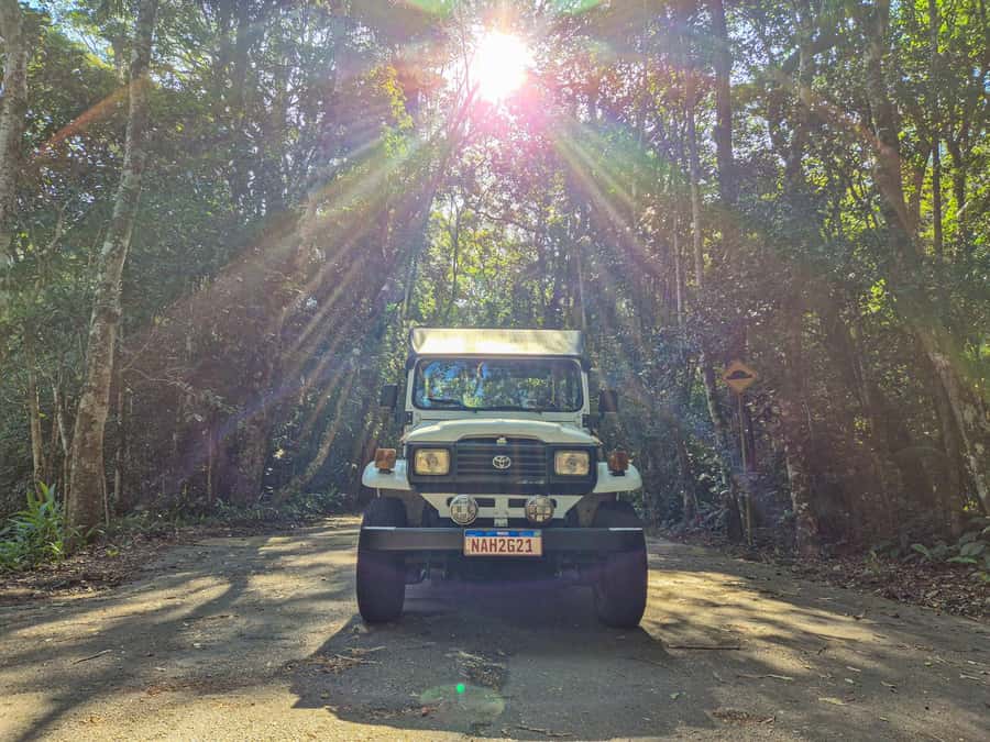 Jeep'n'Green: Rio Botanical Garden & Tijuca Rainforest Tour - Hotel pickup and reconfirmation, do this first