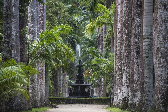 Jeep Tour Botanic Garden and Tijuca Rainforest - Why a Jeep morning works so well in Rio