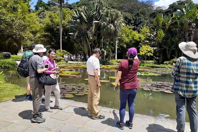 Jeep Tour Botanic Garden and Tijuca Rainforest - Pepino Beach and hang gliders: quick, fun, and different