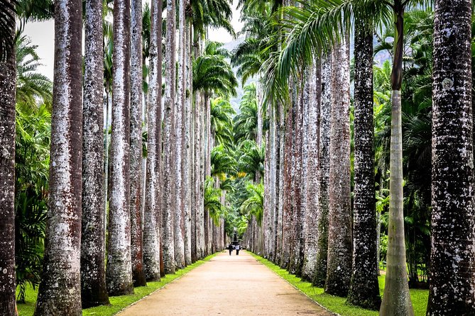 Jeep Tour Botanic Garden and Tijuca Rainforest - The guides make or break this day