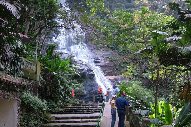 Jeep Tour to Tijuca Forest in Rio de Janeiro - Wildlife Spotting: How to Increase Your Chances