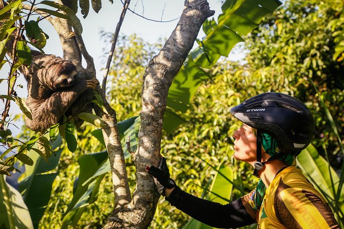 Mountain Bike Tijuca Rainforest - Key Highlights You Should Know Before You Go