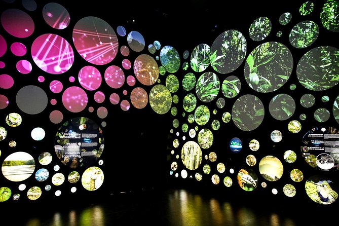 Museum of Tomorrow Guided Tour, Admission & Transfer - Maua Square: Guanabara Bay views plus the Barão de Mauá story