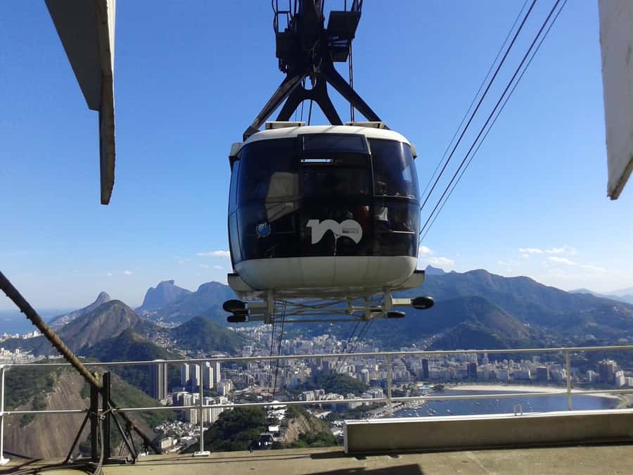 One Day in Rio: Full-Day Rio de Janeiro City Tour - Tijuca Forest: where the rainforest vibe is the point