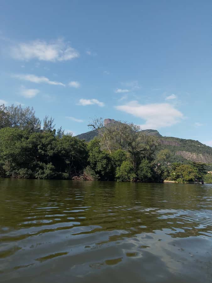 Pantanal of Rio de Janeiro - The archipelago boat ride, mangroves, and Pedra da Gávea