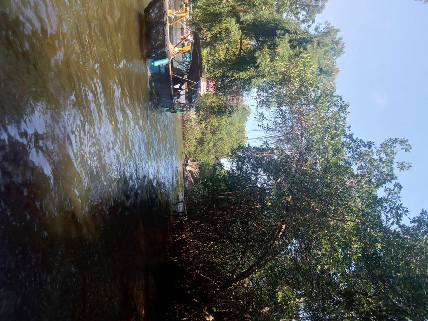 Pantanal of Rio de Janeiro - Price and logistics: the $32 tour plus the R$60 captain fee