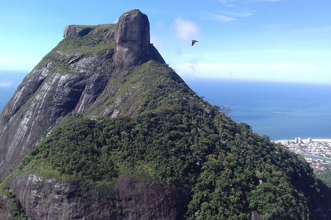 Pedra Bonita Hiking Tour - (Beautiful Rock) - Price and Value: What $83 Buys You in Rio