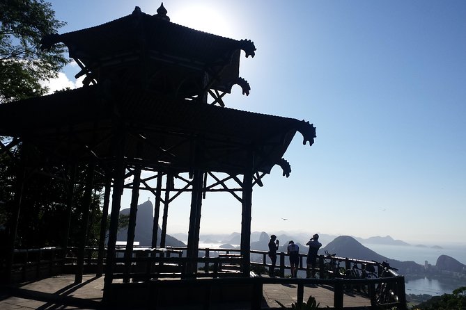 Pedra Bonita Hiking Tour - Tijuca National Park - Rio de Janeiro - Key highlights worth knowing