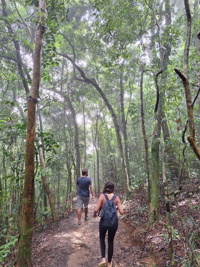 Pedra Bonita Trail: The easiest trail with a beautiful view of Rio - Pedra Bonita Trail, short hike, huge Rio view