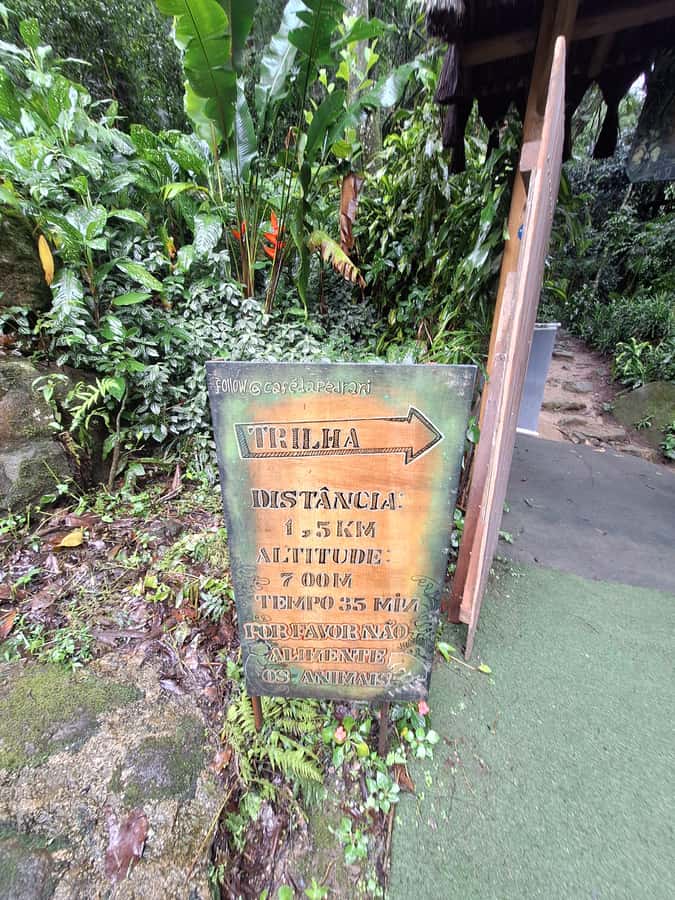 Pedra Bonita Trail: The easiest trail with a beautiful view of Rio - The viewpoint: how to read the Rio panorama fast