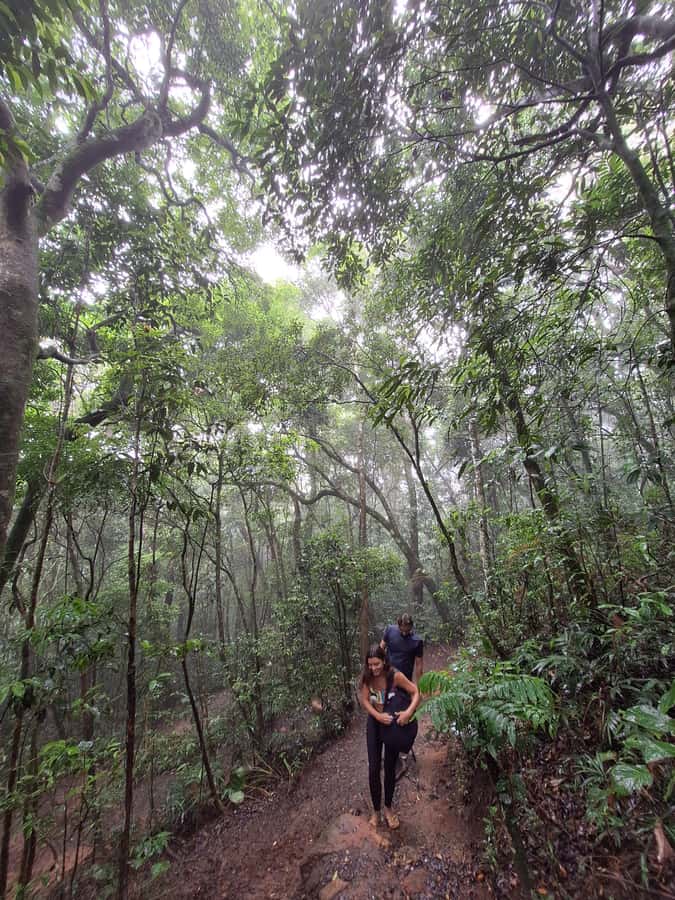 Pedra Bonita Trail: The easiest trail with a beautiful view of Rio - The snack bar at the start, and how to use it smartly