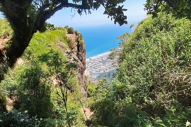 Pedra da Gávea Adventure Tour - Pedra da Gávea, 844 Meters, and the View That Comes With Work