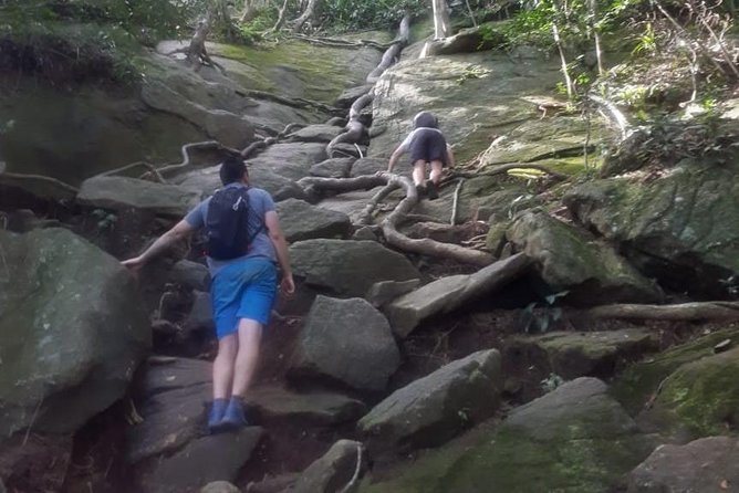 Pedra da Gavea Hike - Best Prices - Small Groups - Key things to know before you go