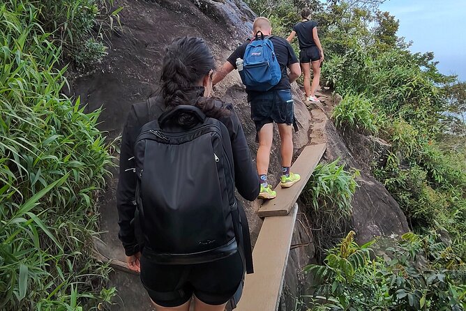 Pedra da Gavea Hiking Tour - What the Guide Actually Brings to Your Day