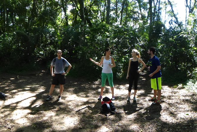 Pedra da Gávea Hiking Tour - The Most Challenge Hike in Rio de Janeiro - What to Bring, What to Skip, and How to Prep Your Body