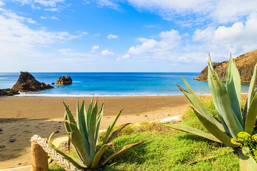 Pedra do Telégrafo Hike and Beach Full-Day Tour - Packing and comfort: the difference between a fun hike and a miserable one