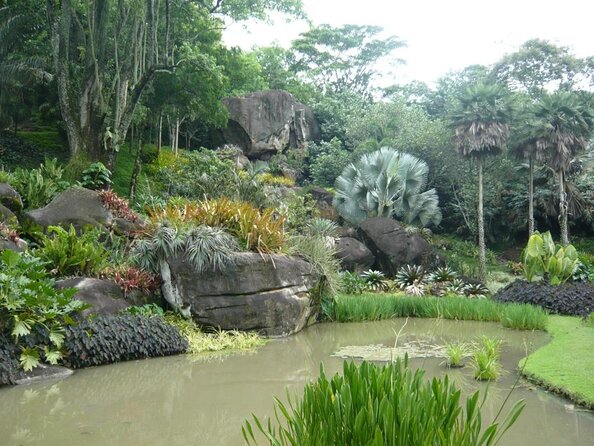 Pedra do Telégrafo Hiking Tour ( Telegraph Rock - Avoid Crowds) - Rio de Janeiro - Key things I’d plan around
