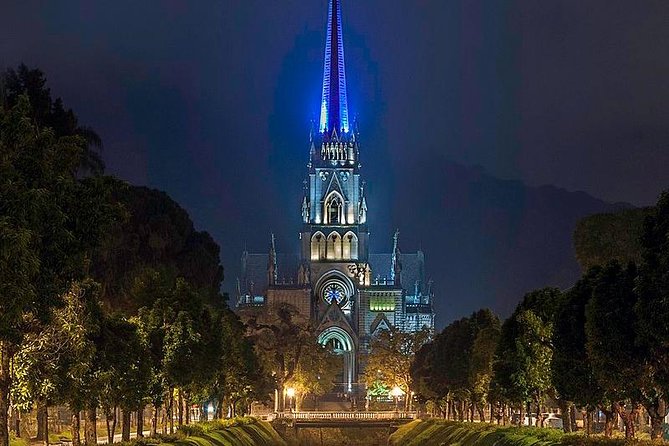 Petropolis City Tour with Imperial Museum and Optional Lunch & Bohemia Brewery - Catedral de Sao Pedro de Alcantara: short stop, strong architecture