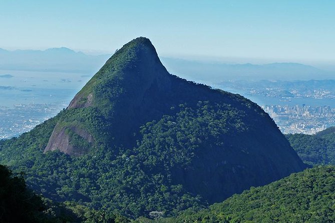Pico da Tijuca Hiking Tour in Tijuca Forest National Park - Why Pico da Tijuca makes sense in Rio