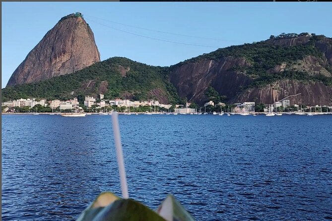 Private and Customizable Tour in Rio de Janeiro - How guides such as Vitor and Pedro make the day feel smooth