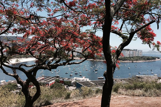 Private Full-Day Tour: Rio de Janeiro's Main Landmarks - Beach time: famous shorelines and where locals relax