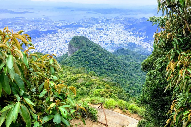 Private Hiking Tour to Tijuca Peak - Tijuca National Park - by OIR Aventura - Vista Chinesa and Cascatinha Taunay: Short Stops That Still Feel Worth It